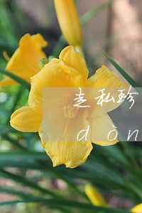 走私珍貴動(dòng)物、珍貴動(dòng)物制品罪立案標(biāo)準(zhǔn)_2021走私珍貴動(dòng)物、珍貴動(dòng)物制品罪量刑標(biāo)準(zhǔn)和認(rèn)定構(gòu)成要件